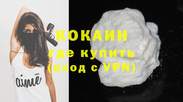 ГАЛЛЮЦИНОГЕННЫЕ ГРИБЫ Кукмор