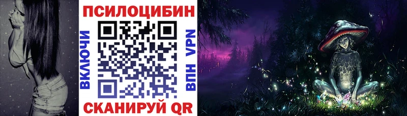 Псилоцибиновые грибы Psilocybe  где купить наркотик  Малгобек 