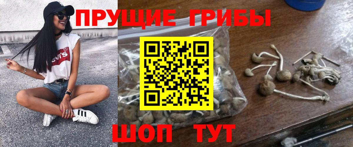 Псилоцибиновые грибы мицелий Малгобек