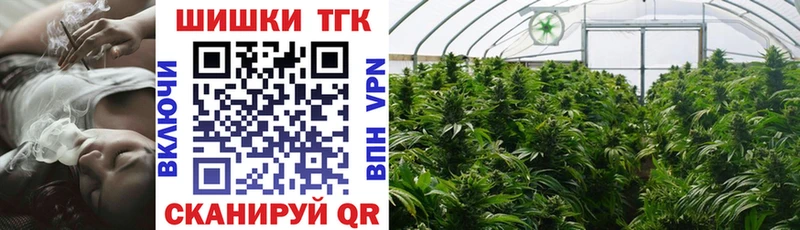 Шишки марихуана SATIVA & INDICA магазин продажи Малгобек