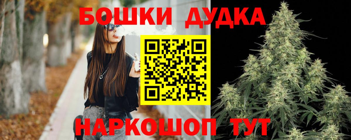 Каннабис сатива Малгобек
